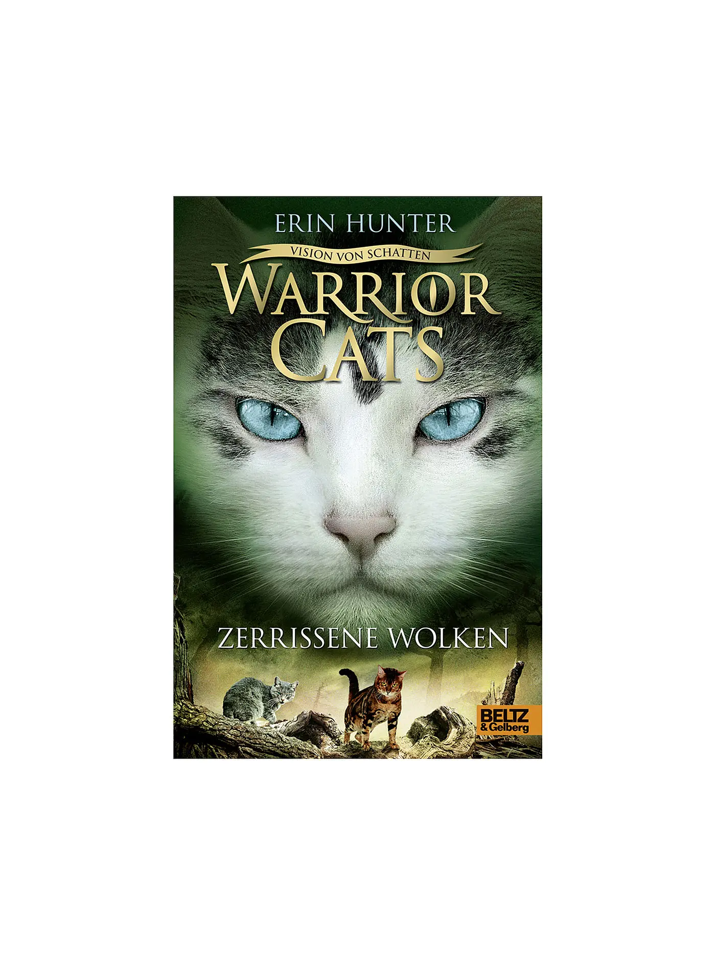 BELTZ & GELBERG VERLAG | Buch - Warrior Cats - Vision von Schatten. Zerrissene Wolken | 